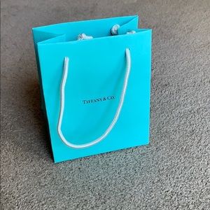Brand new Tiffany & Co. Shopping Bag
